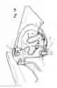 Fig. 02 - DEVICE FOR CLEANING DRAIN CONDUITS