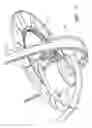 Fig. 09 - Hose reel assembly