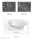 Fig. 07 - Heat-dissipating structure and method for fabricating the same