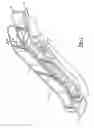 Fig. 02 - PASSENGER CONVEYOR HANDRAIL DRIVE
