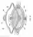 Fig. 08 - Electrolytic cell stack with proton exchange membrane interlock sealing gasket