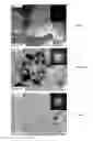Fig. 06 - Electrodeposited alloys and methods of making same using power pulses