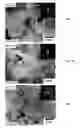 Fig. 08 - Electrodeposited alloys and methods of making same using power pulses