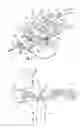 Fig. 02 - Method of using a spray gun and material produced thereby