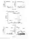 Fig. 02 - Method and apparatus for pyrolysis-induced cleavage in peptides and proteins