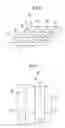 Fig. 05 - Wind turbine blade and wind power generator using the same