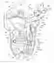 Fig. 01 - Door lock device