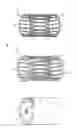 Fig. 01 - Superconductive rotor, superconductive rotating machine and superconductive rotating-machine system