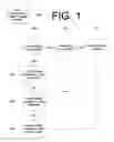 Fig. 02 - Telecommunications system and method for a mobile device allowing escalation through notification levels
