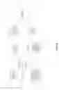 Fig. 07 - Automatic run-time identification of textures
