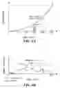 Fig. 07 - Liquid crystal display device and method of driving the same