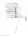 Fig. 21 - Method and apparatus for lighting involving reflectors
