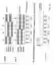 Fig. 11 - WIRELESS COMMUNICATION SYSTEM, WIRELESS BASE STATION APPARATUS, AND WIRELESS COMMUNICATION METHOD