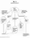 Fig. 07 - Establishing additional reverse link carriers in multi-carrier wireless systems