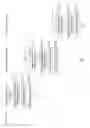 Fig. 07 - Relay apparatus, communication system and communication method