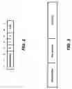 Fig. 03 - STAGGERCASTING METHOD AND APPARATUS USING TYPE OF SERVICE (TOS) INFORMATION