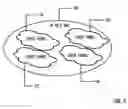 Fig. 08 - Virtual and logical inter-switch links
