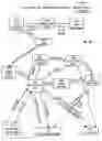 Fig. 31 - Virtual and logical inter-switch links