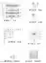Fig. 07 - Macroblock Level Adaptive Frame/Field Coding for Digital Video Content