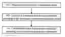 Fig. 01 - Method, system and apparatus for evaluating video quality