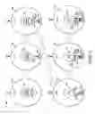 Fig. 17 - Methods and apparatus for use in a wireless communications system that uses a multi-mode base station