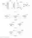 Fig. 07 - MAPPING METHOD AND DEVICE FOR DISCONTINUOUS TRANSMISSION BITS