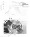Fig. 16 - SYSTEMS AND METHODS FOR MAGNETICALLY ASSISTED INERTIAL ELECTROSTATIC CONFINEMENT FUSION