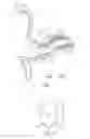 Fig. 02 - Hearing aid microphone protective barrier