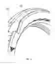 Fig. 14 - Headset