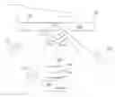 Fig. 01 - Multiplexed biometric imaging