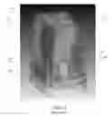 Fig. 04 - Multiplexed biometric imaging