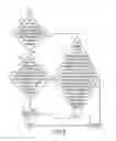 Fig. 08 - Edge detection for mixed raster content (MRC) images for improved compression and image quality