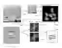 Fig. 01 - No-reference spatial aliasing measure for digital image resizing
