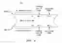 Fig. 04 - Polarization-multiplexed optical transmission