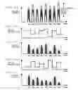 Fig. 05 - Multimode optical transmission device