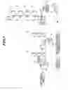 Fig. 06 - Image forming apparatus for controlling fixing of toner on a paper and controlling cooling of the paper based on a conveyance path to which the paper is to be conveyed