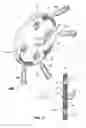 Fig. 02 - ATTACHMENT DEVICE FOR PLASTER WALLS