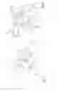 Fig. 05 - Mechanism for attenuating torque pulsations between an engine and a rotorcraft rotor driven by the engine