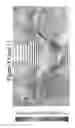 Fig. 04 - VERTICAL AXIS TURBINE FOILS