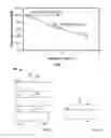 Fig. 02 - SYSTEM AND METHOD FOR REDUCING NO2 POISONING