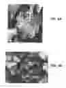 Fig. 05 - Method of manufacturing high-surface-area silicon