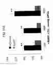 Fig. 72 - Cell cycle regulation and differentiation