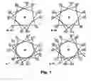 Fig. 02 - Antimicrobial peptides