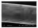 Fig. 01 - Mascara composition