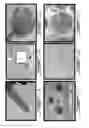 Fig. 02 - Composition and method for the repair and regeneration of cartilage and other tissues
