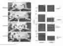 Fig. 08 - Cell line for the production of prostacyclin and uses thereof