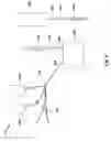 Fig. 06 - Methods, Systems, and Apparati for Cellular Therapeutic Agent Preparation and Delivery