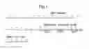 Fig. 02 - POLYPEPTIDES, ANTIBODY VARIABLE DOMAINS AND ANTAGONISTSMETHODS FOR