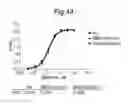 Fig. 64 - POLYPEPTIDES, ANTIBODY VARIABLE DOMAINS AND ANTAGONISTSMETHODS FOR