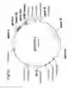 Fig. 69 - POLYPEPTIDES, ANTIBODY VARIABLE DOMAINS AND ANTAGONISTSMETHODS FOR